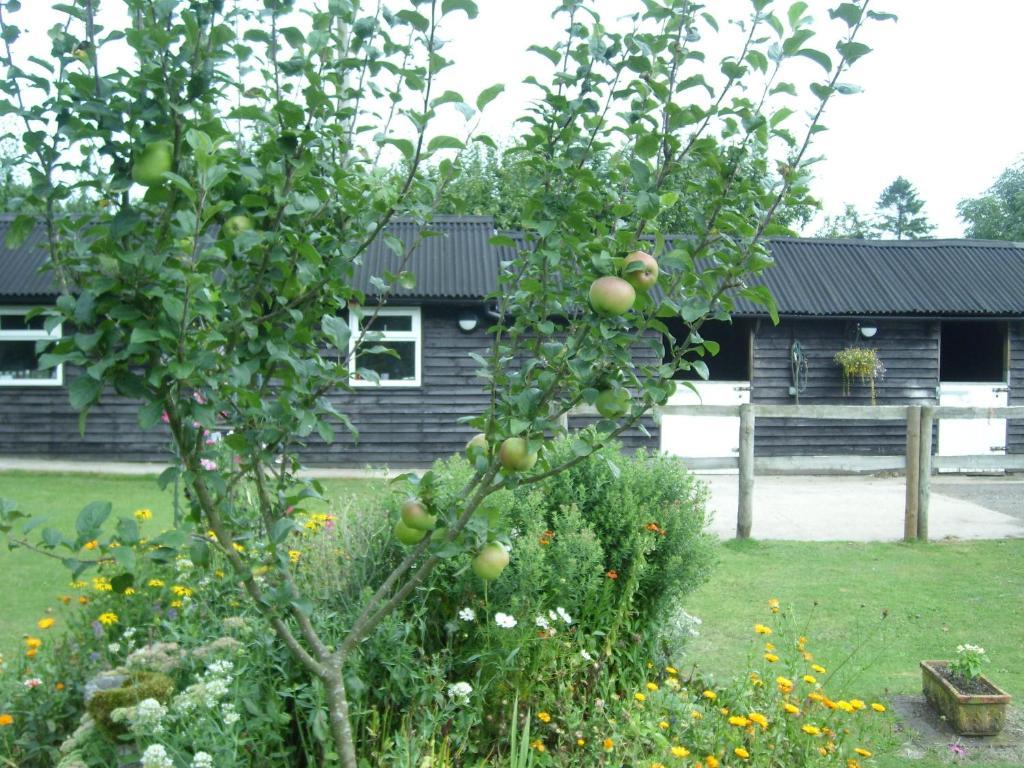 Heathwood Lodge Stelling Exterior photo